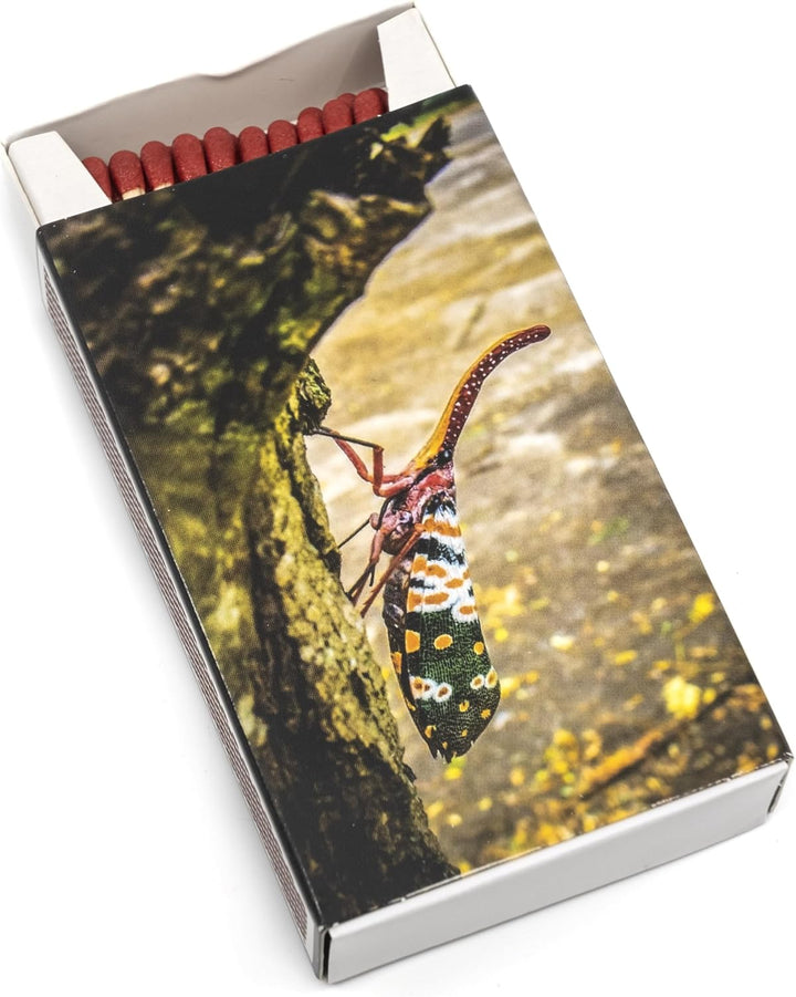 24x 55 Stück Kaminhölzer Extra Lang ca 10 cm + 1 Bildmagnet! Kaminstreichhölzer Kohleanzünder Grilla