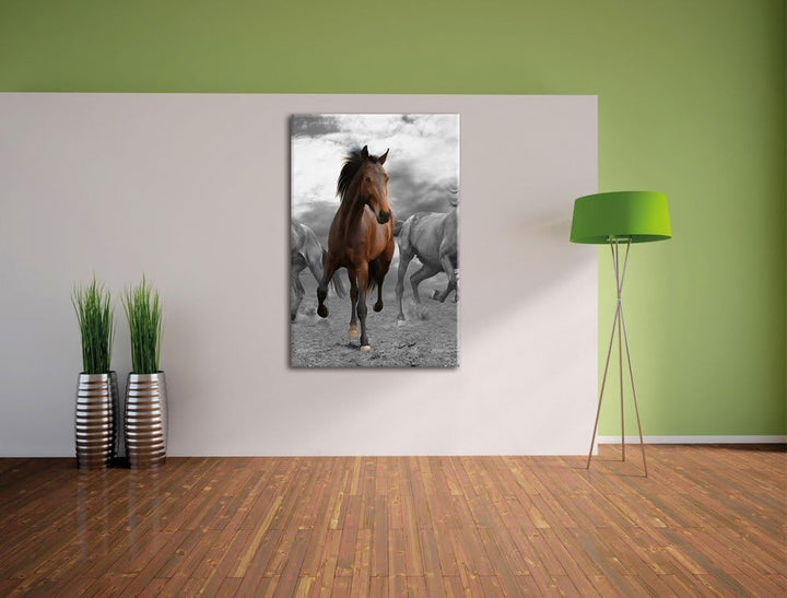 Pixxprint Mustangherde im Sand Schwarz/weiss, Format: 70x100 auf hochkantiges Leinwand, XXL riesige