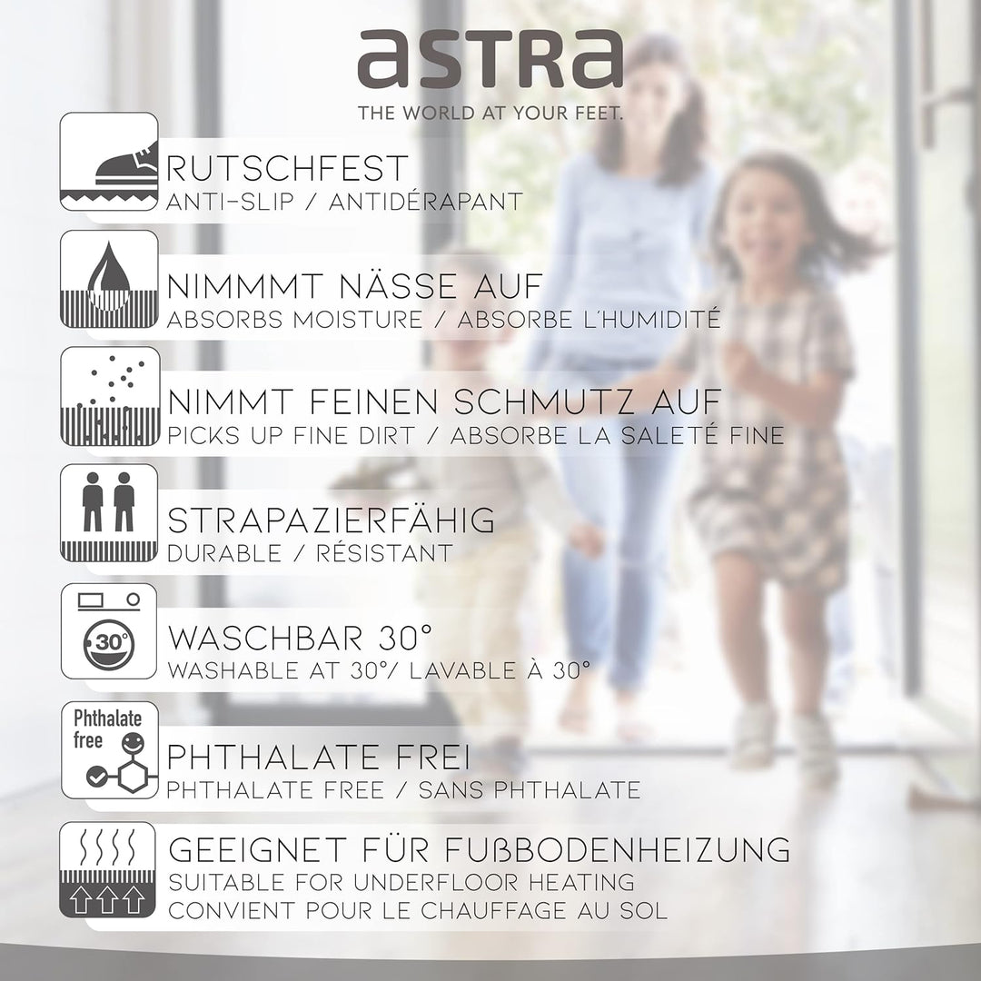 Astra rutschfeste Sauberlaufmatte innen - Dreiecke grau-braun 50 x 70 cm - Wohnraum Fussmatte Design