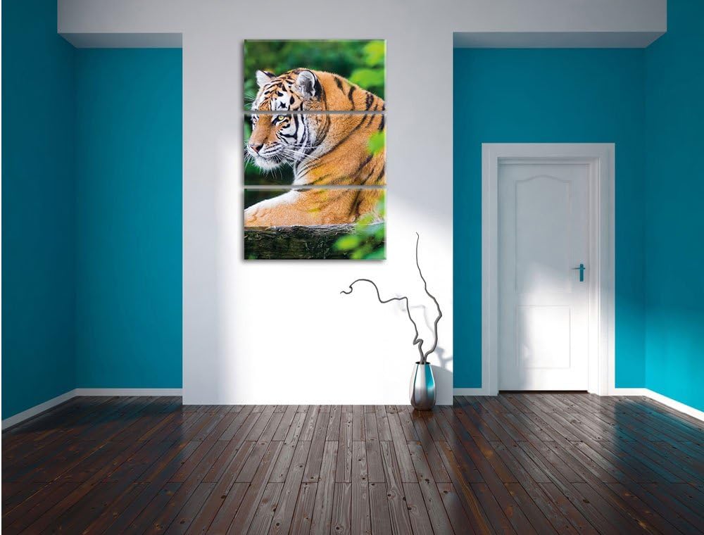 Pixxprint anmutiger Tiger auf Baumstamm als Leinwandbild/Grösse: 3 Teilig (120x80) cm/Wandbild/Kunst