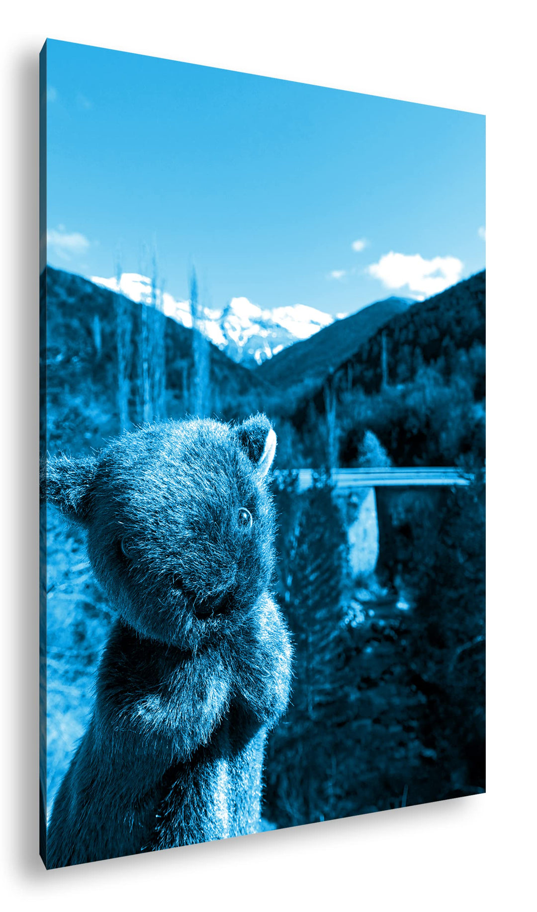 deyoli niedlicher Wombat mit traumhafter Landschaft Format 100x70 Effekt: Monocrome Blau als Leinwan