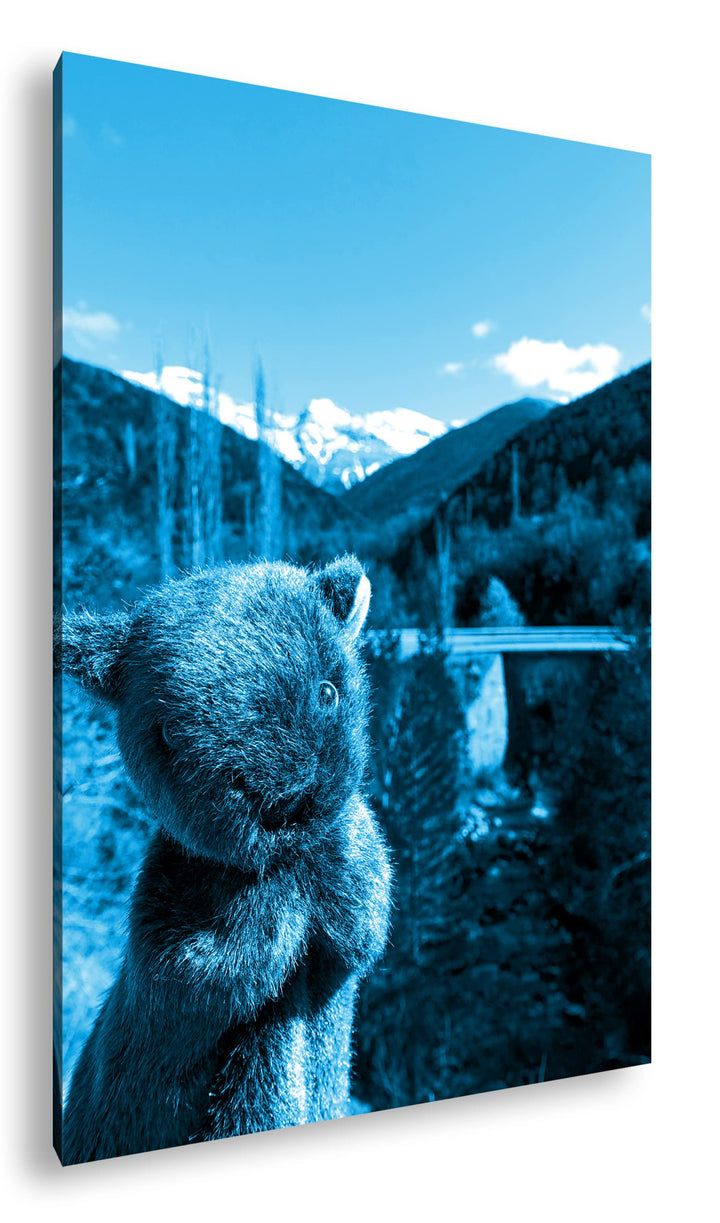 deyoli niedlicher Wombat mit traumhafter Landschaft Format 100x70 Effekt: Monocrome Blau als Leinwan