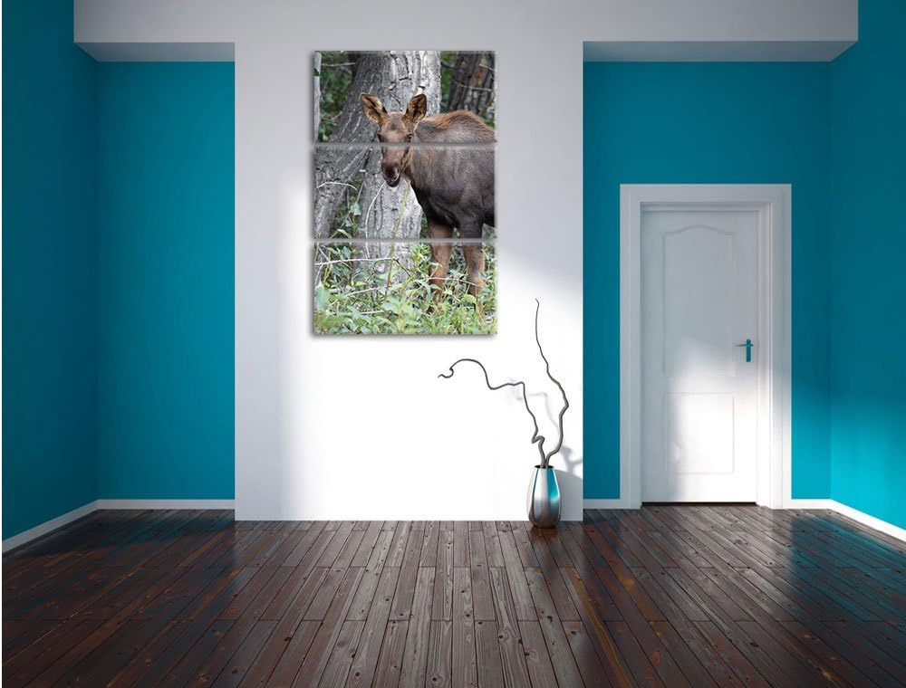 Pixxprint schöne Elchkuh im hohen Gras als Leinwandbild/Grösse: 3 Teilig (120x80) cm/Wandbild/Kunstd