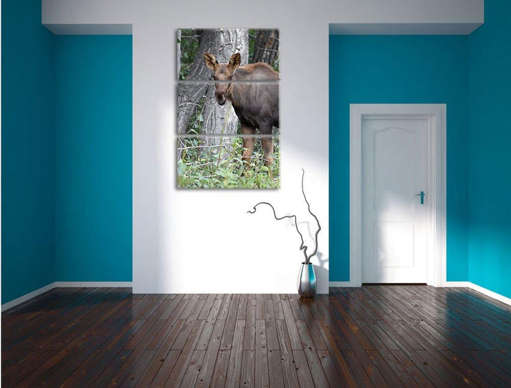 Pixxprint schöne Elchkuh im hohen Gras als Leinwandbild/Grösse: 3 Teilig (120x80) cm/Wandbild/Kunstd