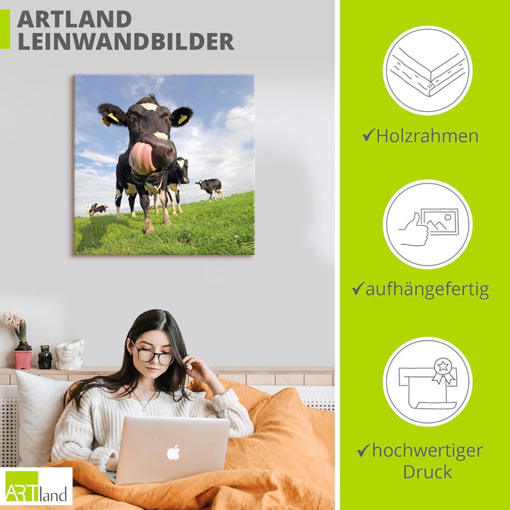 ARTland Leinwandbilder Wandbild Bild auf Leinwand 70x70 cm Kuh Tiere Zunge Lustig Süss Landhaus Baue