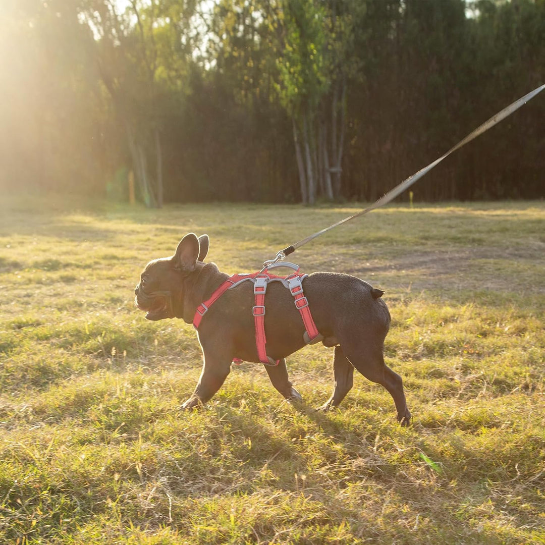 Huntboo Hunde Sicherheitsgeschirr, Rutschfestes Hundegeschirr Escape Proof, Reflektierendes Geschirr