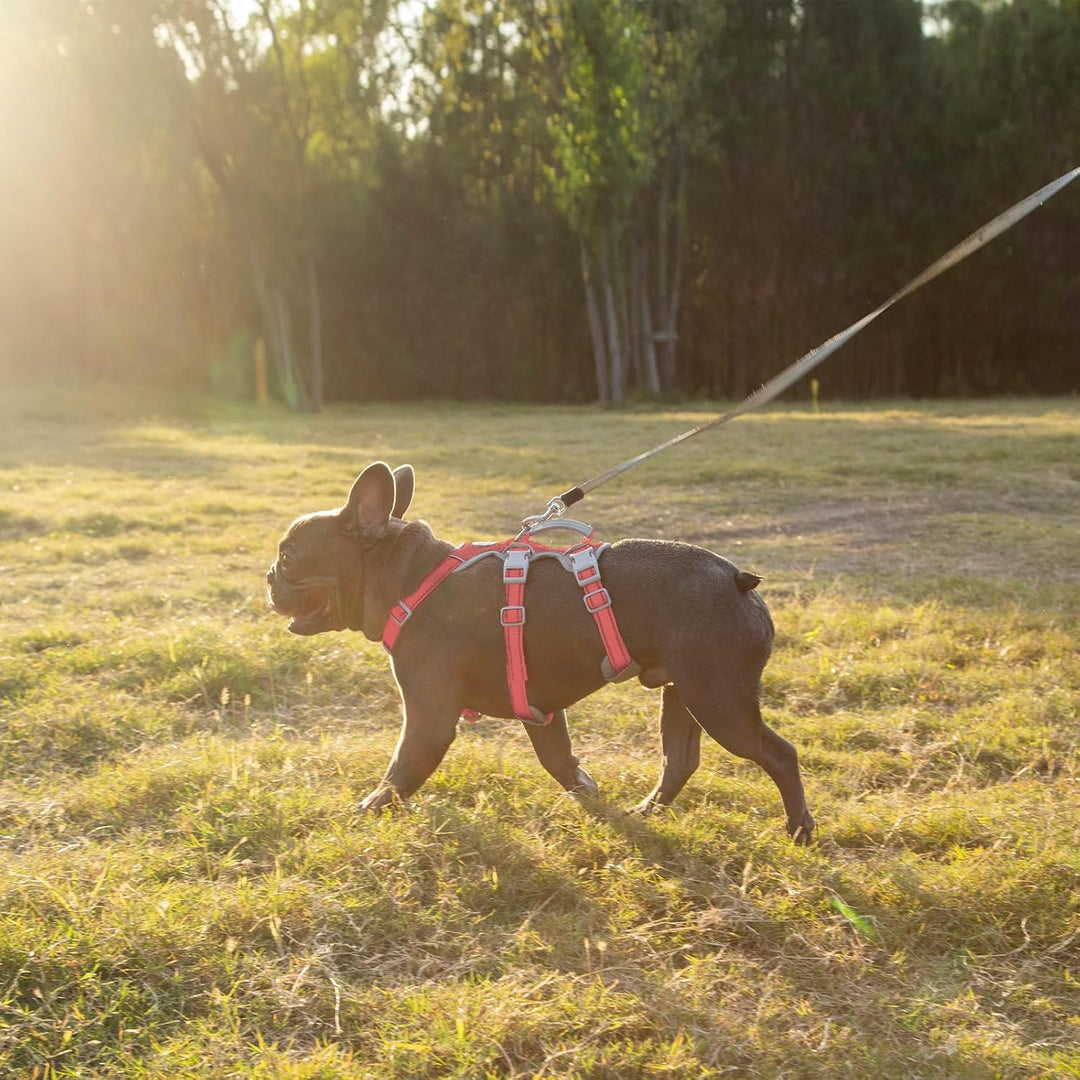 Huntboo Hunde Sicherheitsgeschirr, Rutschfestes Hundegeschirr Escape Proof, Reflektierendes Geschirr
