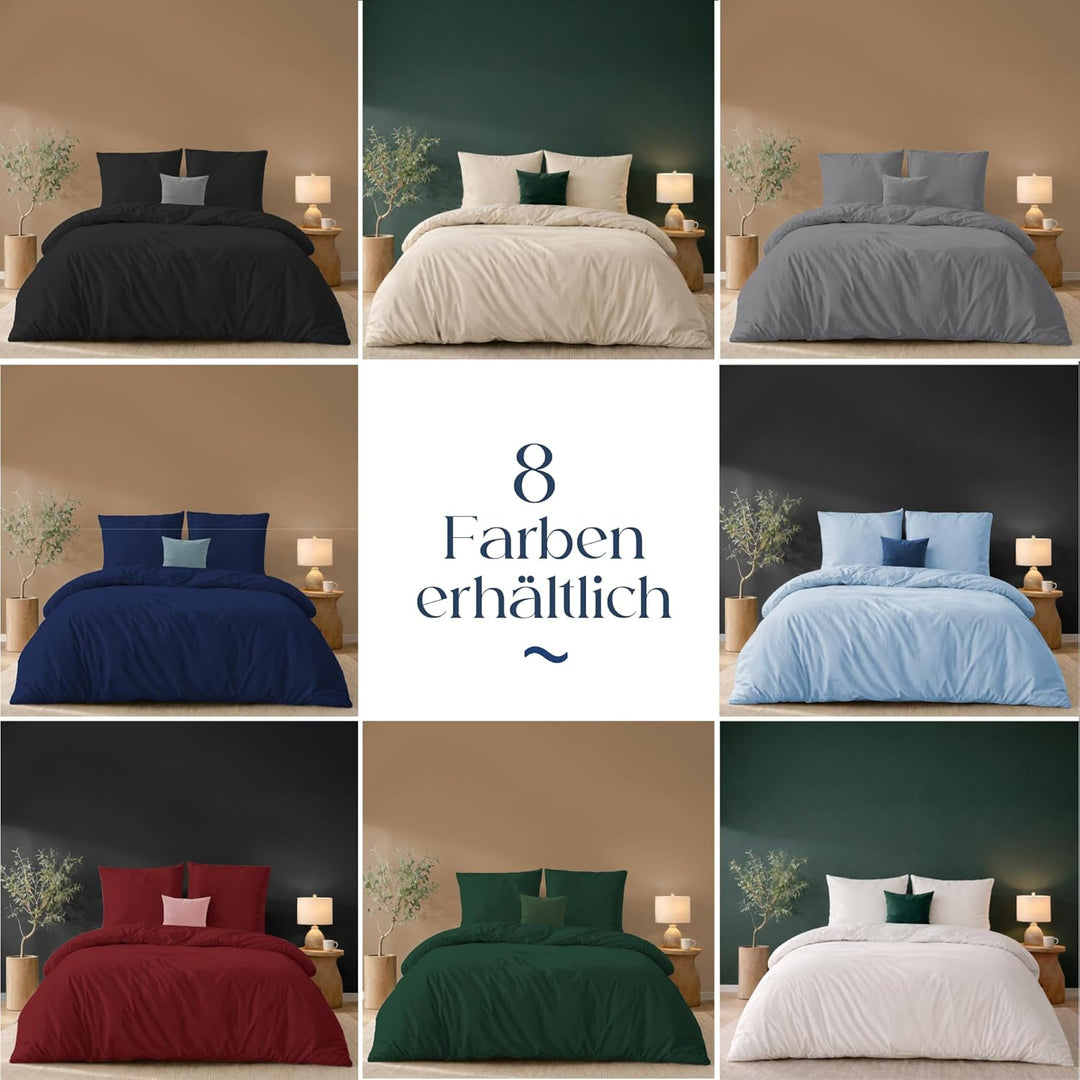 Twinzen - Bettwäsche 220x240 + 2 Kissenbezüge 65x65 cm - 100% Mikrofaser Blau 240x220 cm + 2 x Kisse