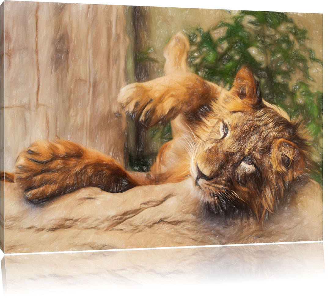 Pixxprint verspielter Kleiner Löwe als Leinwandbild/Grösse: 100x70 / Wandbild/Kunstdruck/fertig besp