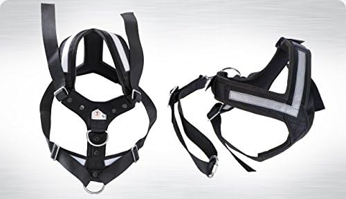 KLEINMETALL Allsafe Gürtel der Sicherheit für Hunde, Schwarz, Grösse M, M