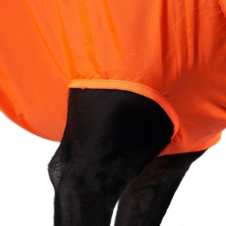 Non-Stop Dogwear Dog Rescue Sling Orange - L