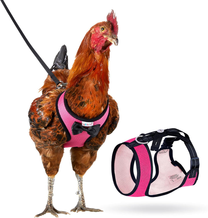 Hühner-Geschirr mit passendem Gürtel, 1,8 m, bequem, atmungsaktiv, kleine Grösse, geeignet für Huhn,