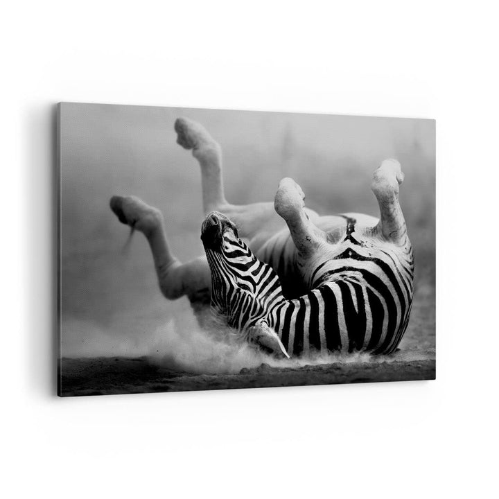Bilder auf Leinwand 100x70cm Leinwandbild Zebra Streifen Tier wild Gross Wanddeko Bild Schlafzimmer