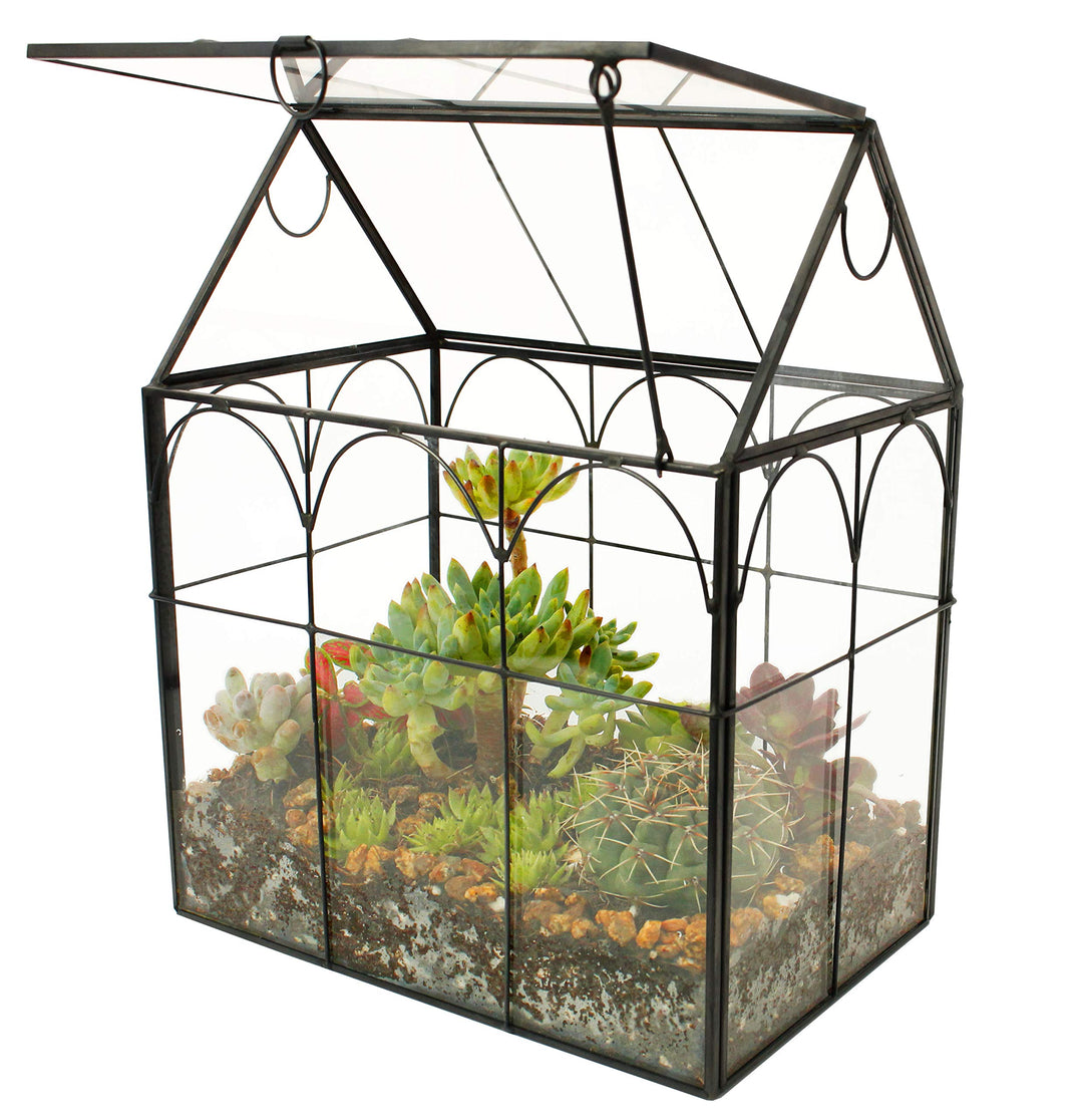ElegantLife Geometrisches Terrarium aus Glas für Sukkulenten und Luftpflanzen (Keine Pflanze im Lief