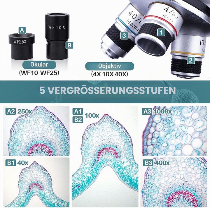 40X-1000X Binokular Mikroskop für Erwachsene Kinder, Compound Mikroskop mit Dual LED Beleuchtung mit