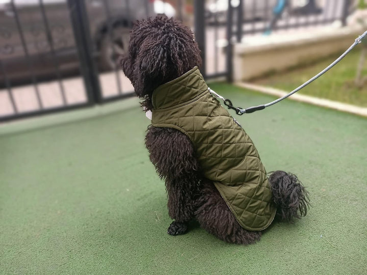 Hundemantel, Wind- und Wasserabweisend, Halsschutz, Sportbekleidung für S-M-L-XL-XXL grosse Hunde. (
