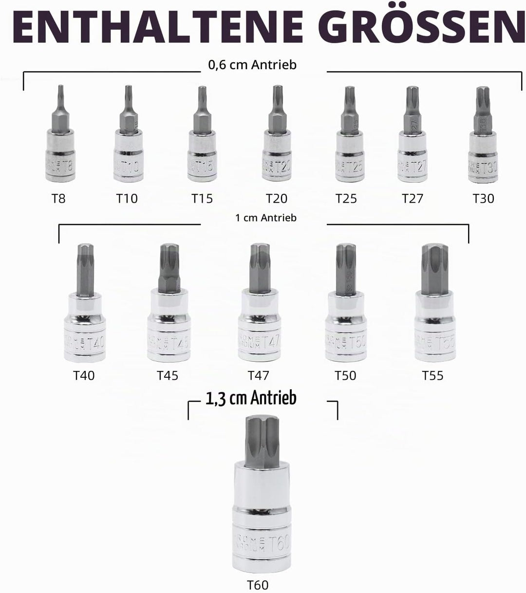 CCLIFE 13tlg Torx Bit Steckschlüsselsatz T8 -T60 bit set fur Drehmomentschlüssel und Bohrer, S2 Legi