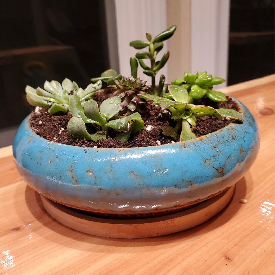 ARTKETTY 18,5 cm Rund Sukkulente Pflanzgefässe Töpfe Mit Drainageloch Bonsai Töpfe Garten Dekorative