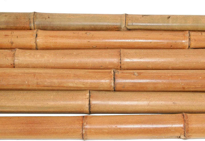 bambus-discount.com 6 Stück Bambusrohr 300cm gelbbraun Durchmesser 5 bis 6cm, hitzebehandelt - 3m La