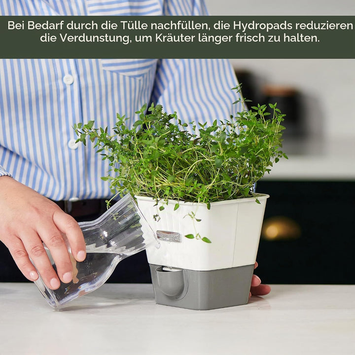 Cole &amp; Mason Burwell Kräutertopf Selbstbewässernd, Kräutertopf Balkon/Kräutergarten für die Küche/Fü
