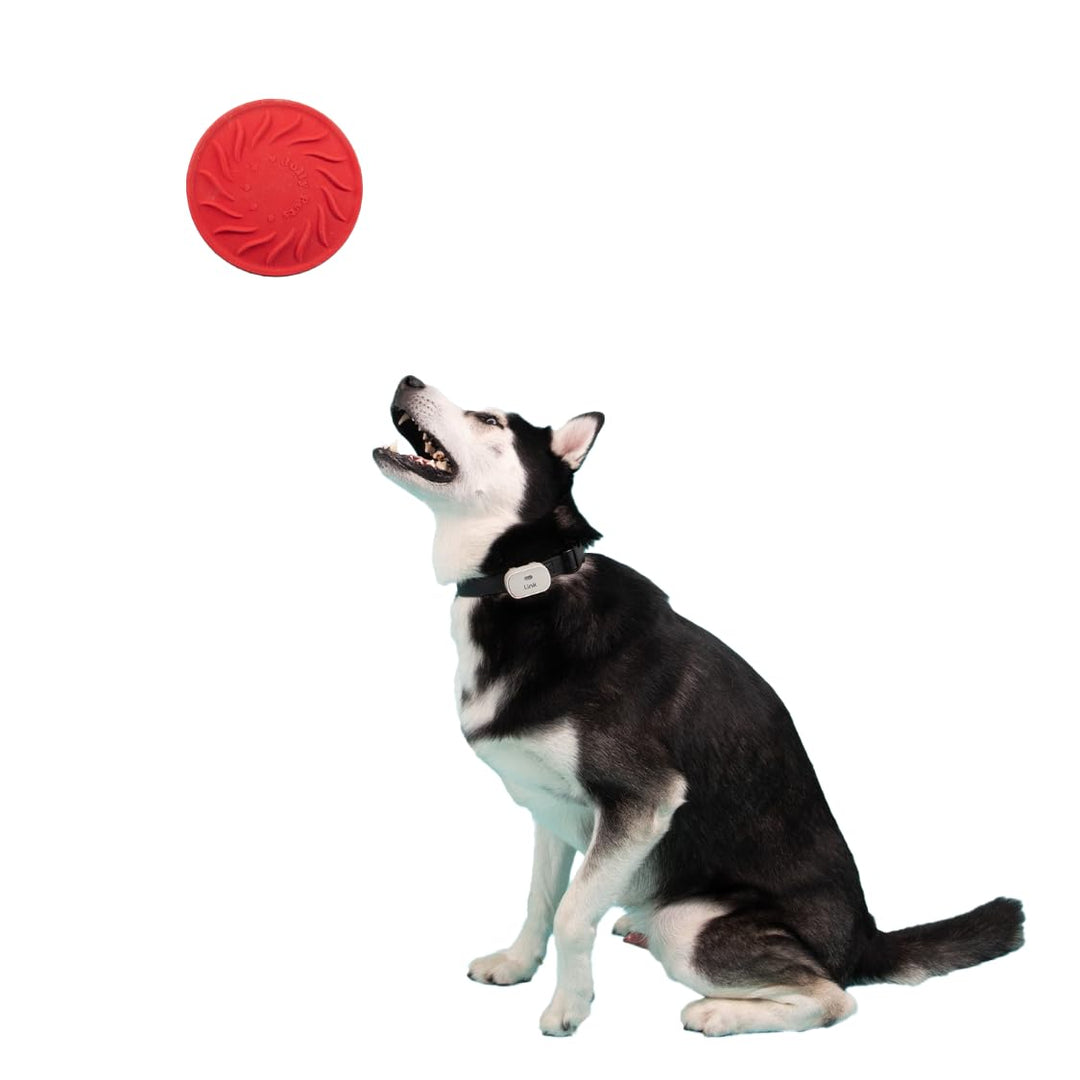 Jolly Pets Tuff Range; Tuff Flyer; 21,6 cm fliegende Scheibe Kauspielzeug für Hunde Rot/Ausflug, ein