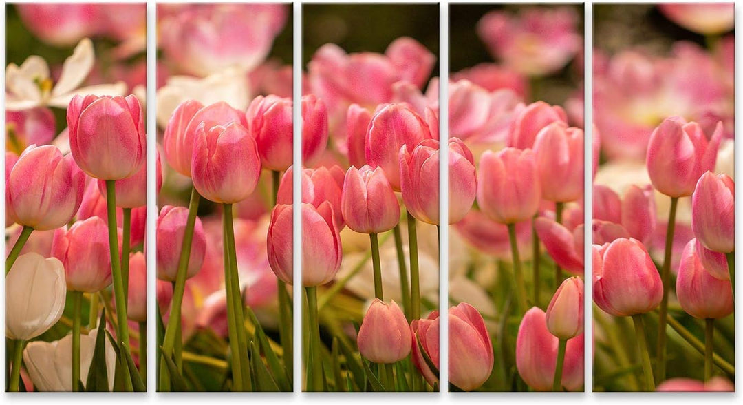 islandburner Bild auf Leinwand Rosa Tulpen Feld Bilder Wandbilder Poster Leinwand 170x80cm - 5 Teile