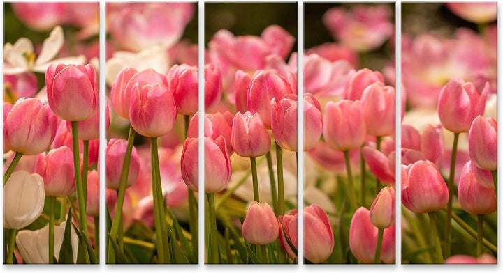 islandburner Bild auf Leinwand Rosa Tulpen Feld Bilder Wandbilder Poster Leinwand 170x80cm - 5 Teile