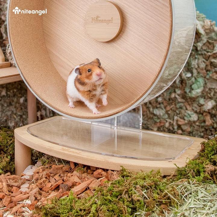 Niteangel Anti-Rutsch-Hamsterrad-Plattform – passend für Niteangel Super-Silent Hamsterrad | Acrylra
