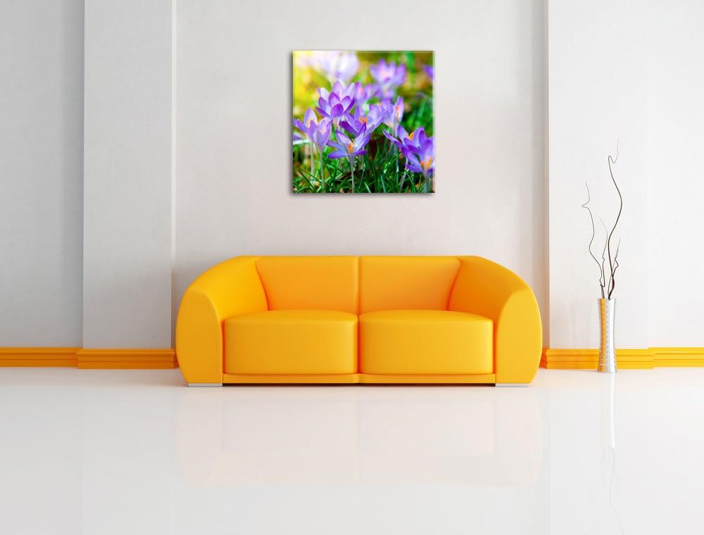 Pixxprint Schöne Krokusse, Format: 70x70 auf Leinwand, XXL riesige Bilder fertig gerahmt mit Keilrah
