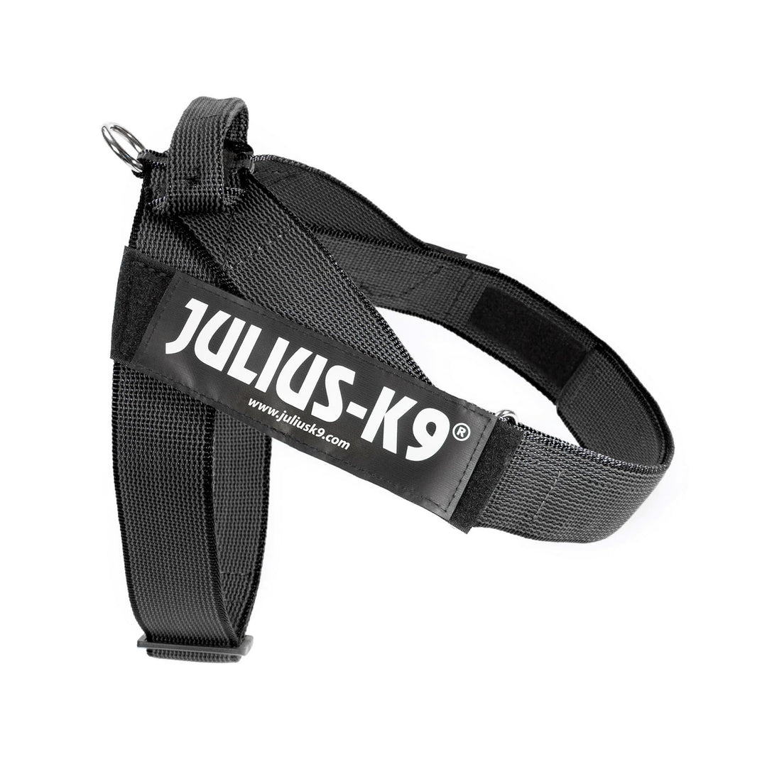 Julius-K9, Color & Gray, Beltgeschirr XL / 2 schwarz-grau, XL / 2 schwarz-grau