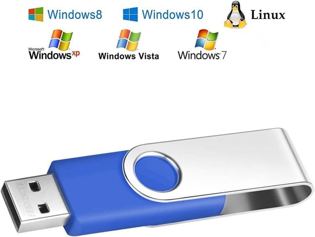 10 Stück USB-Sticks 2GB Blau USB 2.0 Speicher Stick 2 GB Einklappbarer Pendrive FEBNISCTE Tragbar US
