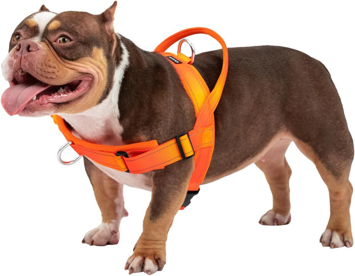 Arblina Hundegeschirr, Anti-Zug Hundegeschirr für Mittelgrosse und Grosse Hunde, T-förmiges Anti Zie