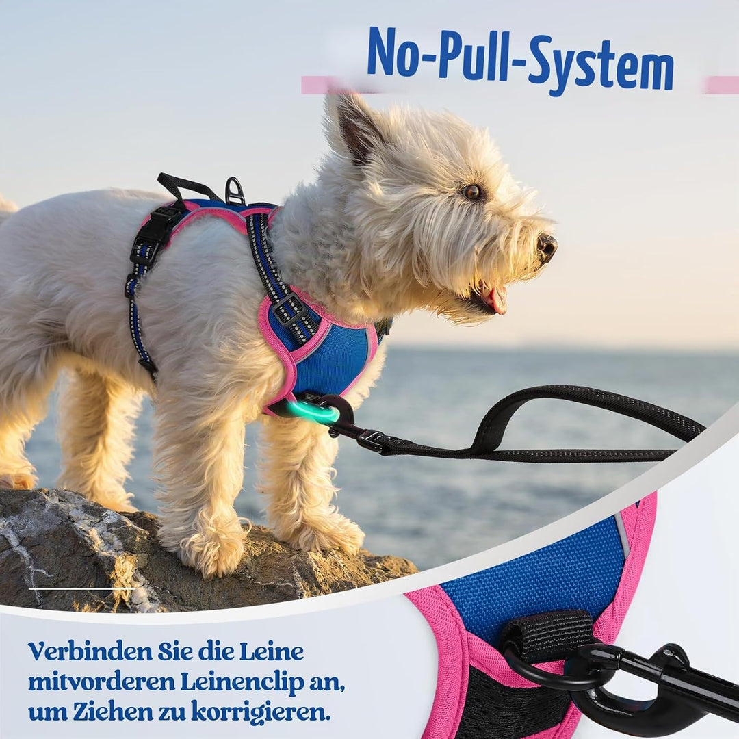 rabbitgoo Hundegeschirr Mittelgrosse Hunde, Anti Zug Geschirr mit Kontrolle, No Pull Verstellbar Hun