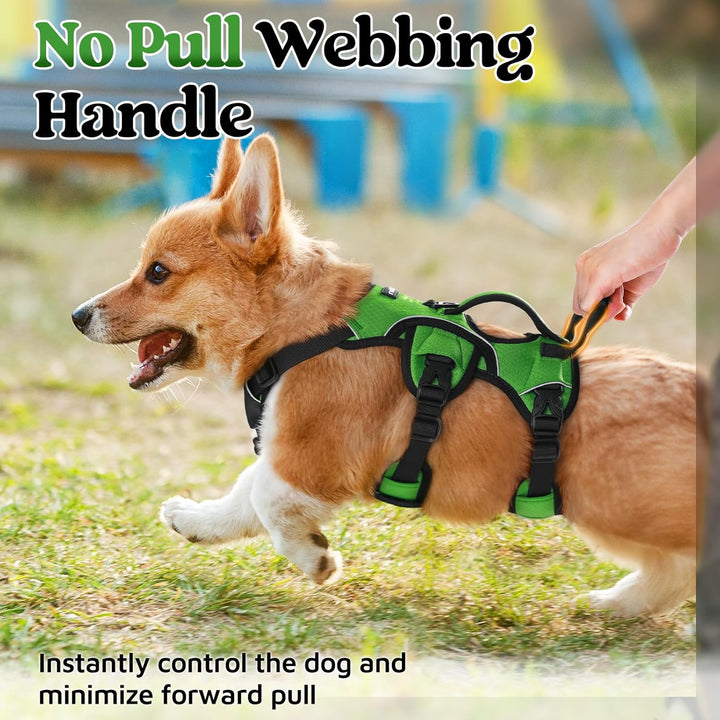 rabbitgoo Ausbruchsichere Hundegeschirr Kleine Hunde mit Griff, Anti Zug Sicherheitsgeschirr Hund At