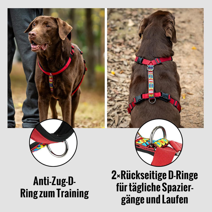 Arblina Hundegeschirr, Ausbruchsicheres Antizuggeschirr für Kleine, Mittlere und Grosse Hunde, Hunde