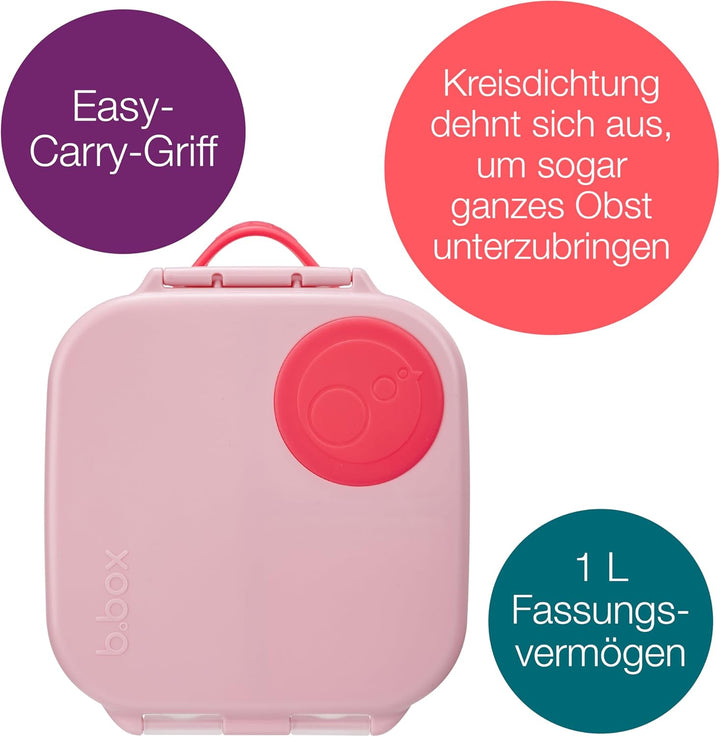 b.box Mini Brotdose für Kinder mit Fächern | Bento Box, 3 Fächer (2 Auslaufsicher) | Lunchbox für Ge
