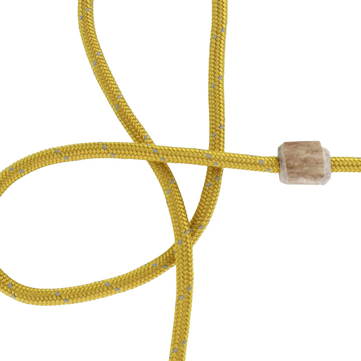 Hundeleine mit Halsband 6mm | Moxonleine Retrieverleine Agilityleine | Mit Zugbegrenzung, Zugstopp a