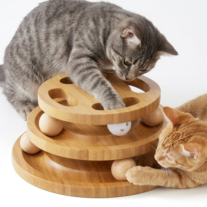 Katzenspielzeug mit Puzzle, Holz Interaktives Katzen Spielzeug mit Ball Track Roller Für Indoor Katz