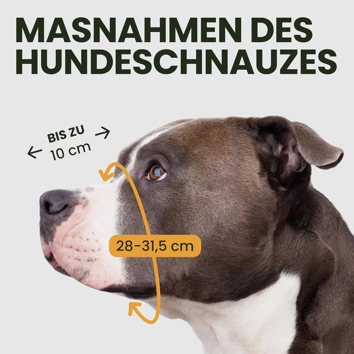 BRONZEDOG Maulkorb für Hunde, Metallmaske, für Amstaff, Pitbull, verstellbare Lederriemen für grosse