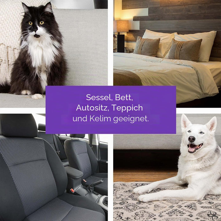 BLACK+DECKER HMSCT0001-XJ Tierhaarentferner, Rolle, Hunde- und Katzenhaare