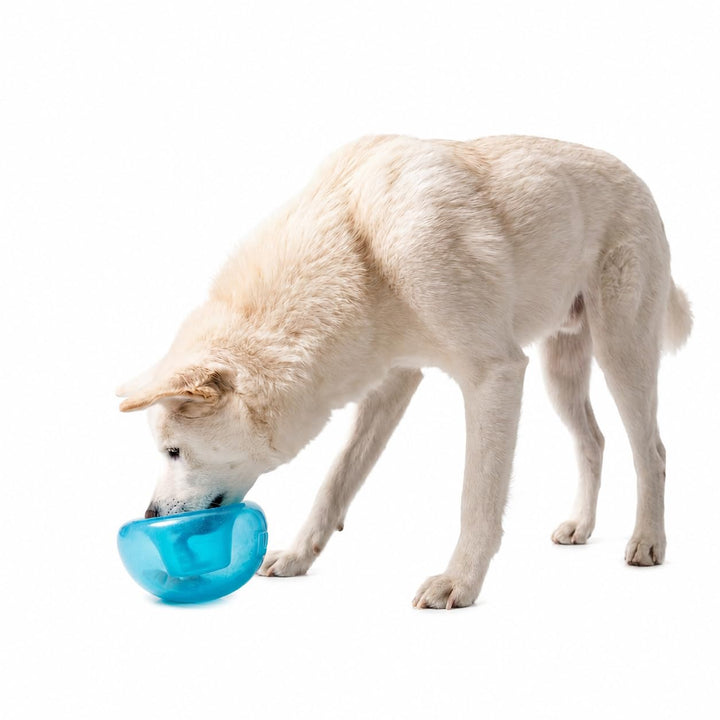 Planet Dog Orbee-Tuff Snoop - Interaktives Spielzeug für Hunde - Snackball - Blau - Gross Large Snoo