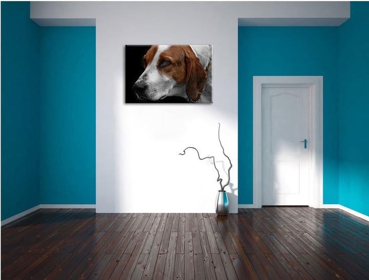 Dark hübscher Hund im Seitenprofilauf Leinwand, XXL riesige Bilder fertig gerahmt mit Keilrahmen, Ku