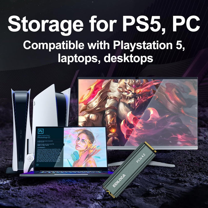 EN760 SSD 500GB NVMe SSD M.2 mit Kühlkörper,Gaming für PS5, Laptop und Desktop PC, SSD Festplatte PC