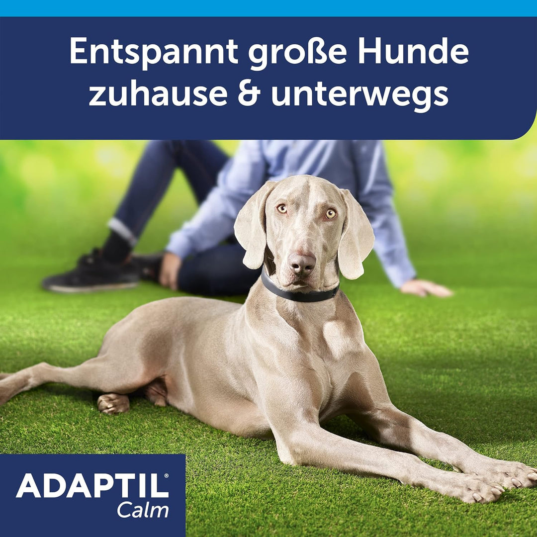 ADAPTIL® Calm Halsband für mittelgrosse-grosse Hunde | Anti Stress Halsband Hund | Halsumfang bis 62