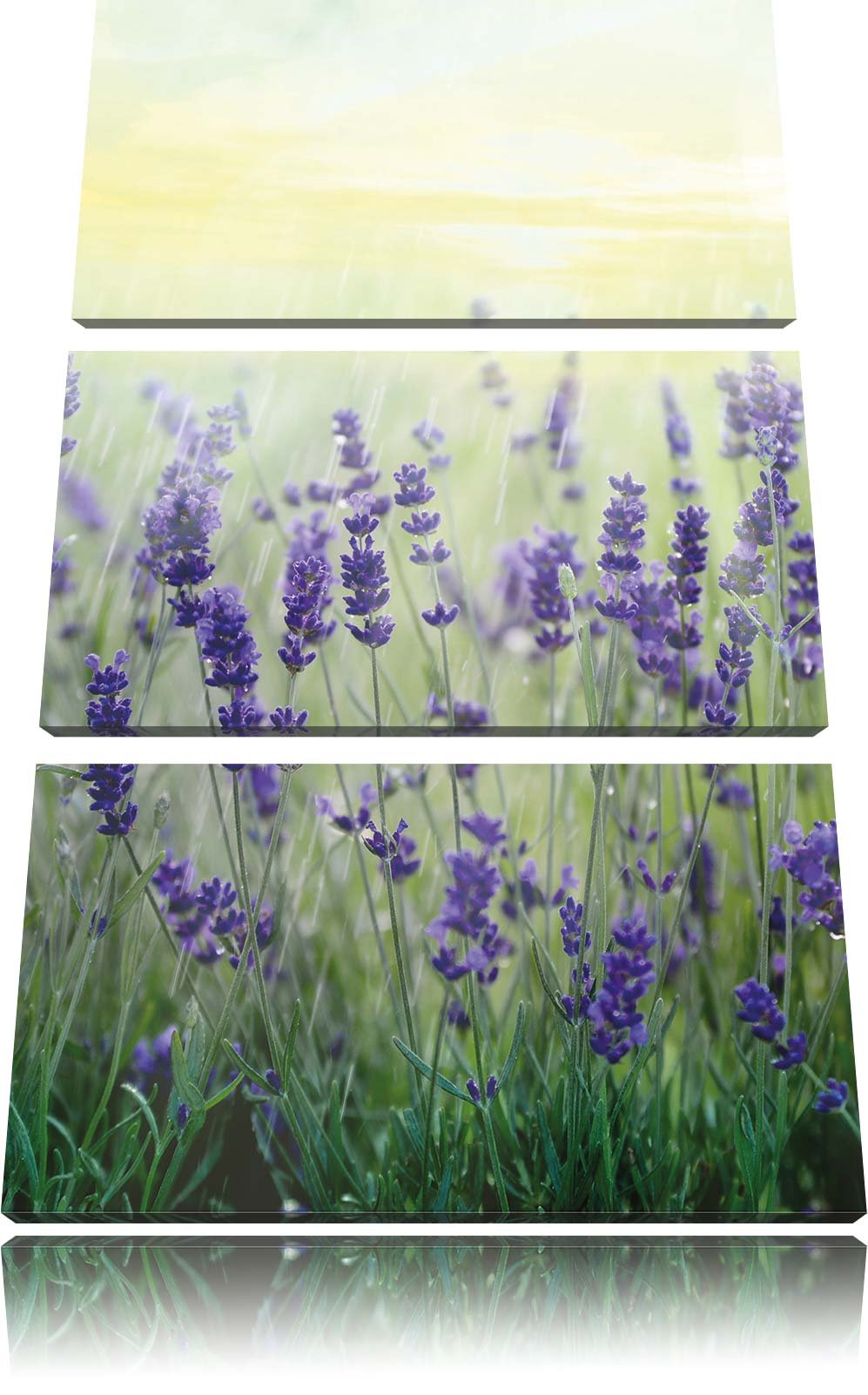 Pixxprint Kleiner Bonsaibaum als Leinwandbild/Grösse: 3 Teilig (120x80) / Wandbild/Kunstdruck/fertig