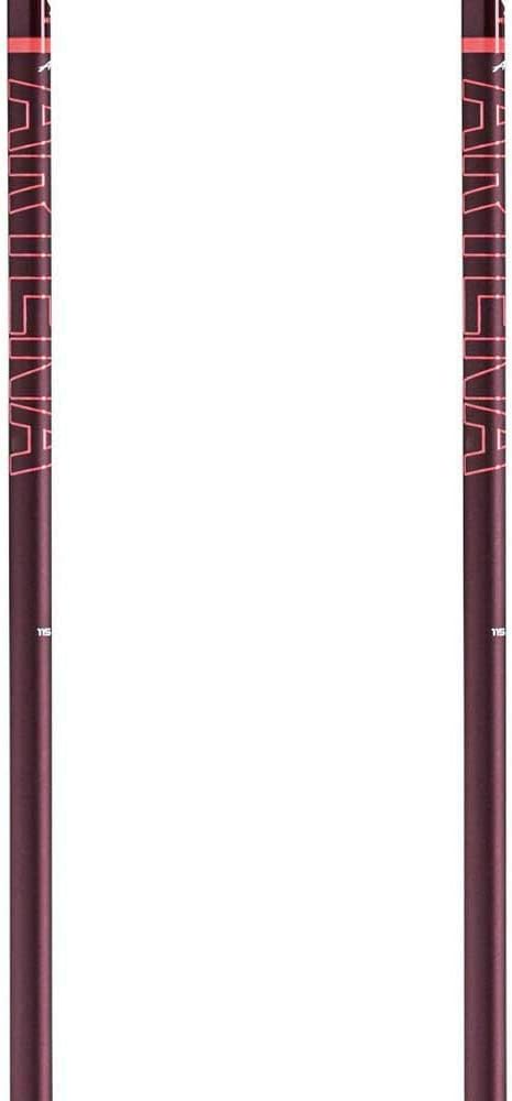 LEKI Unisex-Adult Stick 1 dunkelblau, 1 dunkelblau