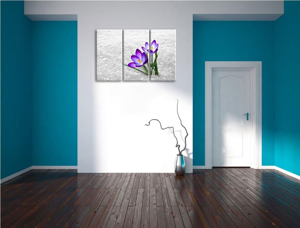 Lila Schnee Krokusse schwarz/weiss 3-Teiler Leinwandbild 120x80 Bild auf Leinwand, XXL riesige Bilde