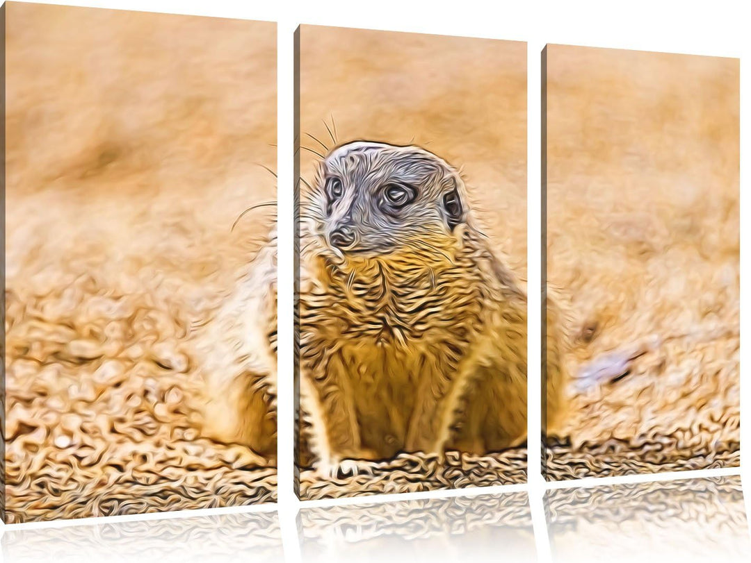 schüchternes Erdmännchen NewArt 3-Teiler Leinwandbild 120x80 Bild auf Leinwand, XXL riesige Bilder f