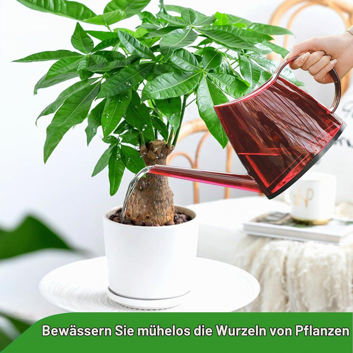 Giesskanne für Zimmerpflanzen, Loft Flower Care Giesskanne, 1,2L Pflanzengiesskanne mit langem Ausla