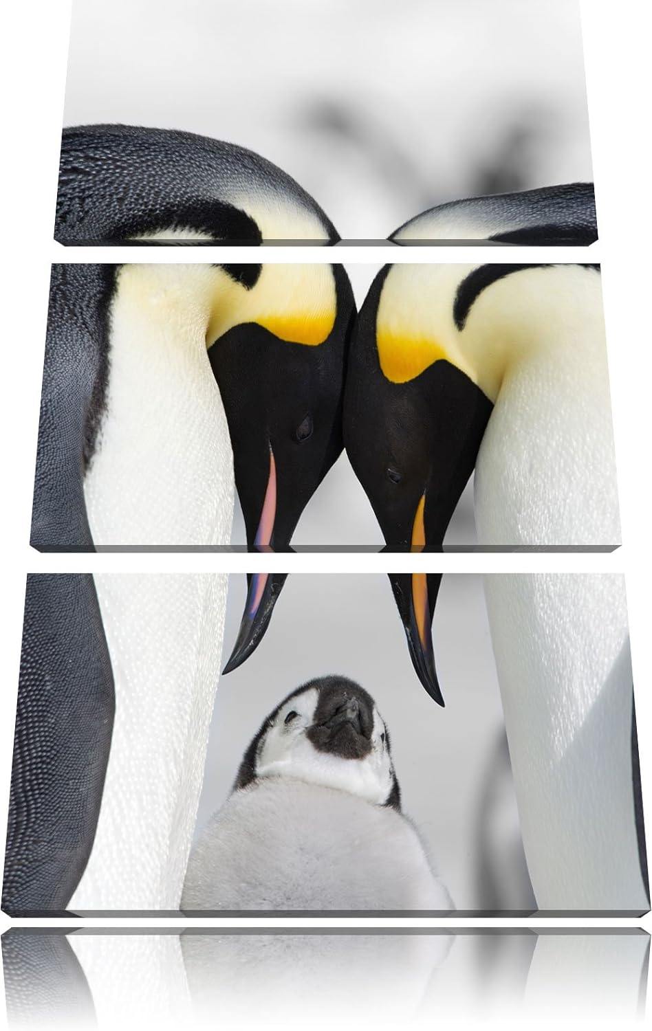 Pixxprint Kaiserpiguinpärchen Liebe B&W Detail 3-Teiler Leinwandbild 120x80 Bild auf Leinwand